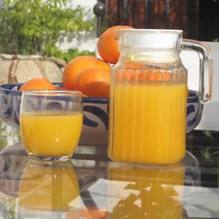 Escuela La Crujia Bed & Breakfast Velez Malaga