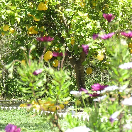 Bed & Breakfast Escuela La Crujia 4*